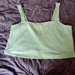 Cropped Tank (American Eagle L)